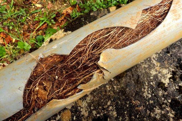 trenchless-pipe-relining-sydney